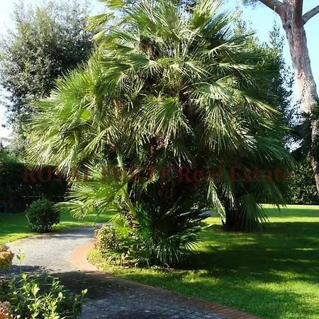 Rossi In Roma Imperiale * Forte dei Marmi